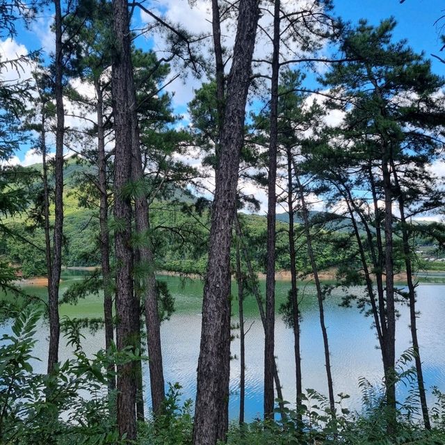 환상적인 마장호수 뷰🩵💚