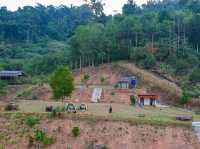 ลานกางเต็นท์ดอยนกเงือก เกาะช้าง จ.ตราด