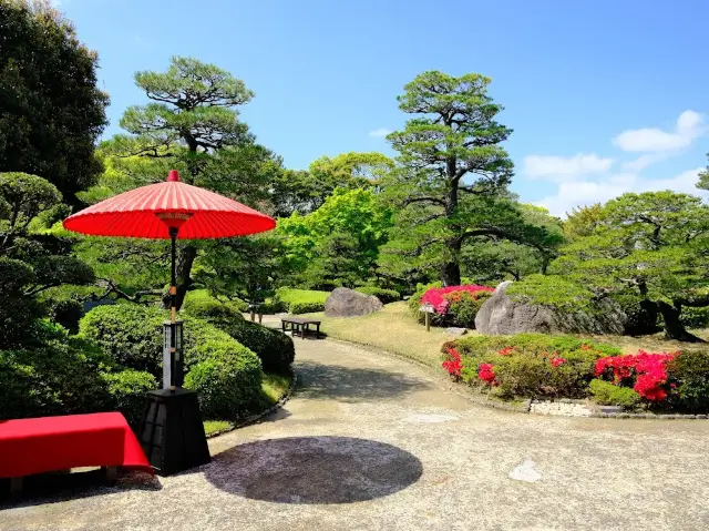  Ohori Park Japanese Garden