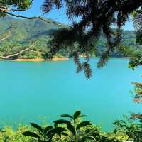 流水響水塘~綠意盎然