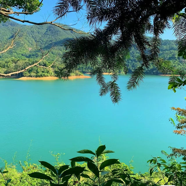 流水響水塘~綠意盎然 流水響水塘~綠意盎然