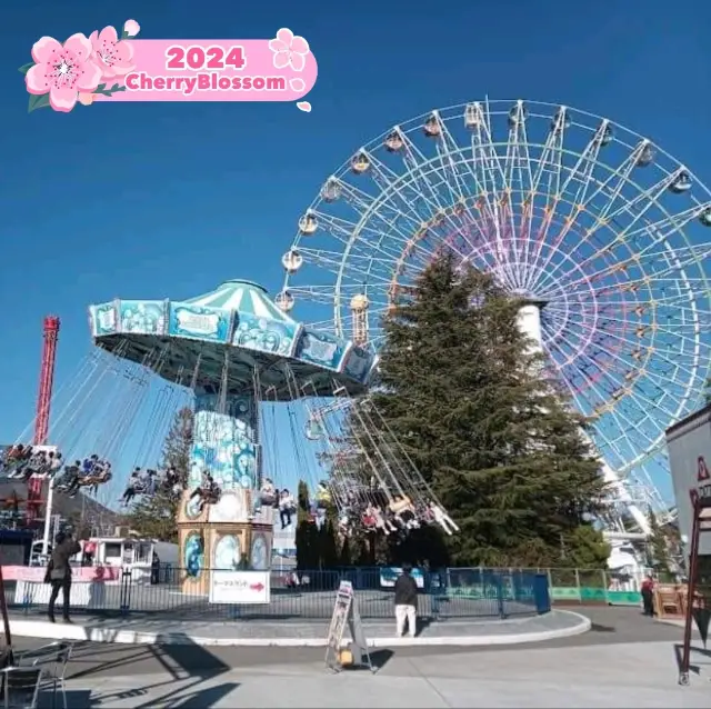 🌼 Joyful at Fuji-Q Highland