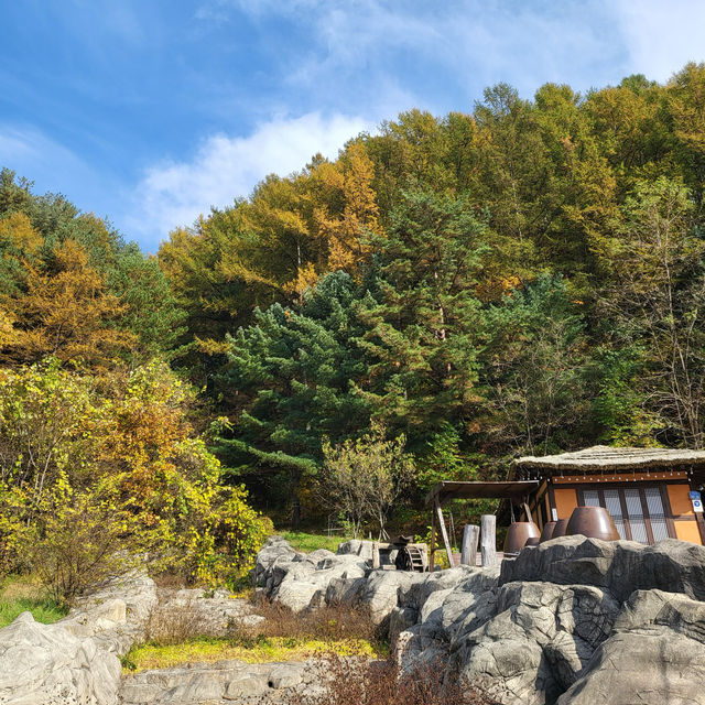 단풍 명소 정선 여행 아우라지
