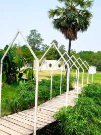 JUNGLE SPACE VILLAGE 