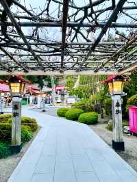 【金蛇水神社/宮城県】金運ご利益の水の神様を祀る