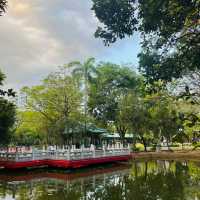 【林口公園】傳統園林😌自然景緻