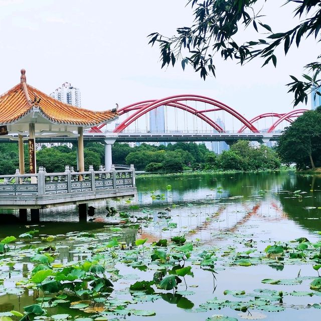 洪湖公園