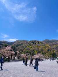Arashiyama Kyoto🩷เดินเล่นที่อาราชิยาม่า