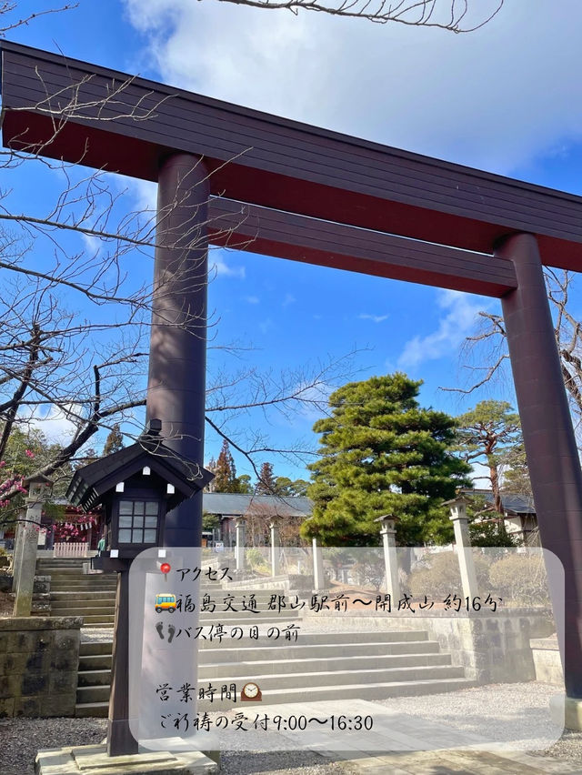 【福島】東北のお伊勢さん⛩️開成山大神宮