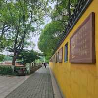 來去有歷史文化傳說之美的金山寺