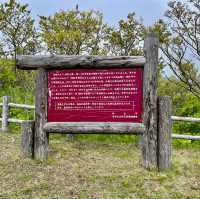 Volcano Views: Nature's Resilience Unveiled