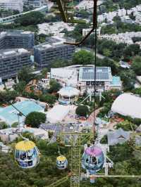 香港｜去🇭🇰海洋公園一定要看這篇全攻略‼️