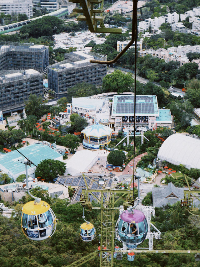 香港｜去🇭🇰海洋公園一定要看這篇全攻略‼️