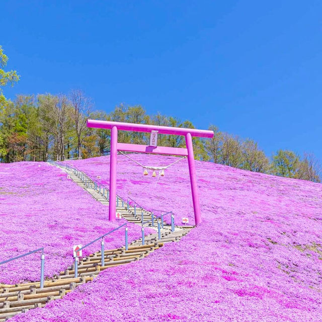 東藻琴芝櫻公園