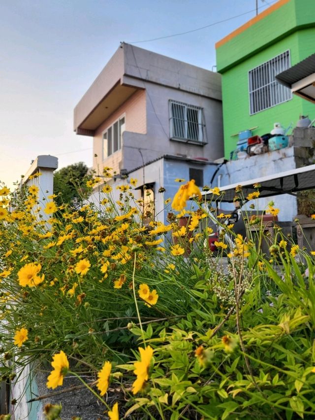 조용하고 한적했던 흰여울문화마을의 일몰🧡