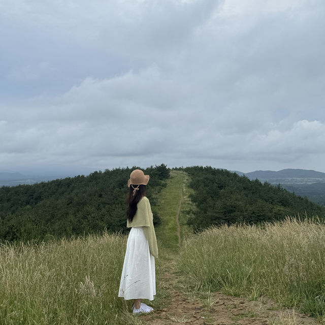 제주에서 가장 예쁜 오름은 여기 !! 🏔️