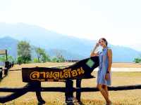 เที่ยวน่าน…เที่ยวอุทยานแห่งชาติดอยภูคา