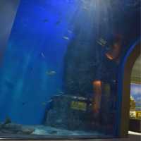 名古屋日帰り旅行〜名古屋港水族館〜