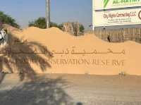 Dubai Desert Conservation Reserve