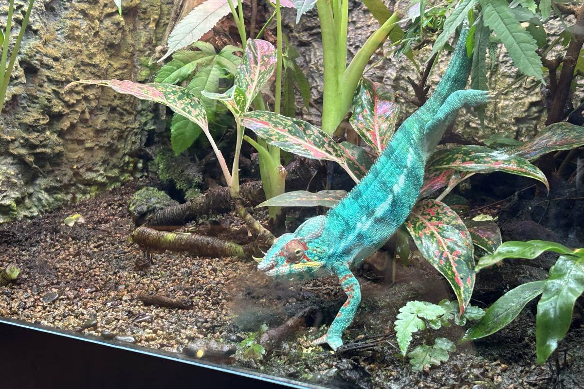 台北動物園