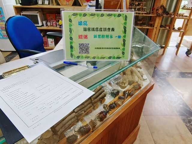 花蓮-池南國家森林遊樂區（扭蛋DIY)