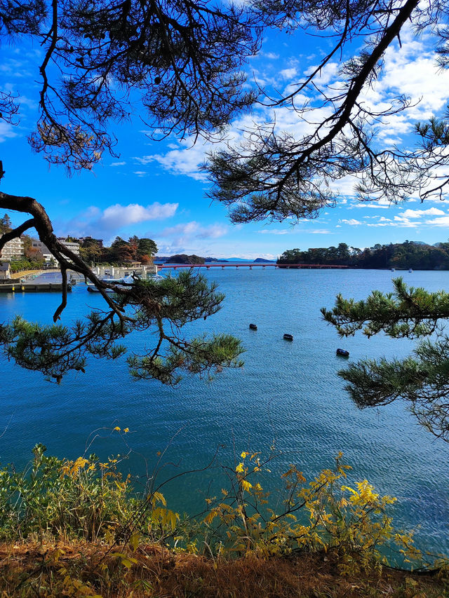 Matsushima: A Day Trip Paradise of Islands