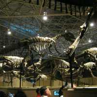 Lufeng World Dinosaur Musuem