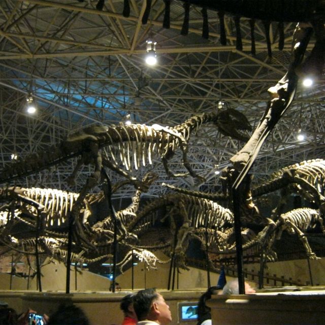 Lufeng World Dinosaur Musuem