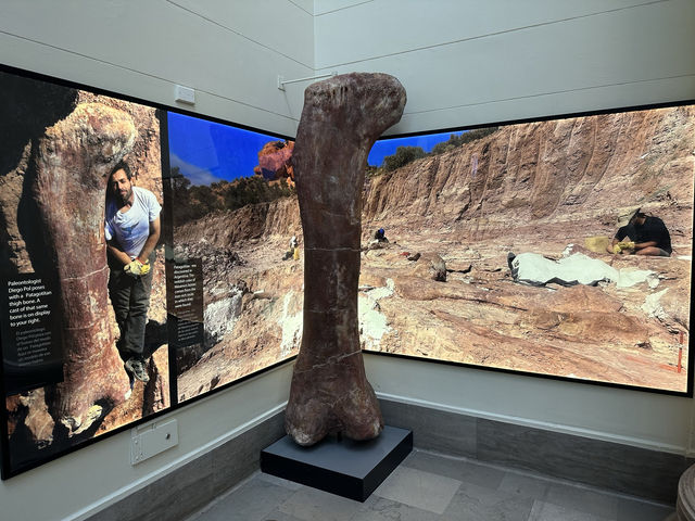【🇺🇸芝加哥🇺🇸】Field Musuem：暴龍🦖 T Rex 體驗，難忘博物館之旅，適合帶小朋友來震撼教育一下‼️
