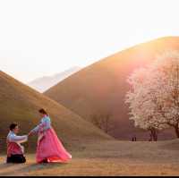 Daereungwon: Unveiling Ancient Royal Legacies in Gyeongju