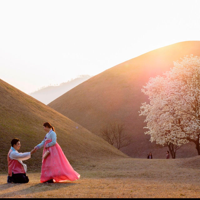 Daereungwon: Unveiling Ancient Royal Legacies in Gyeongju