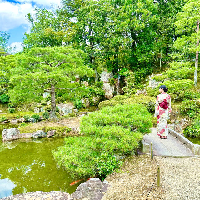 〜京都府〜世界遺産仁和寺！勝負のパワスポ！
