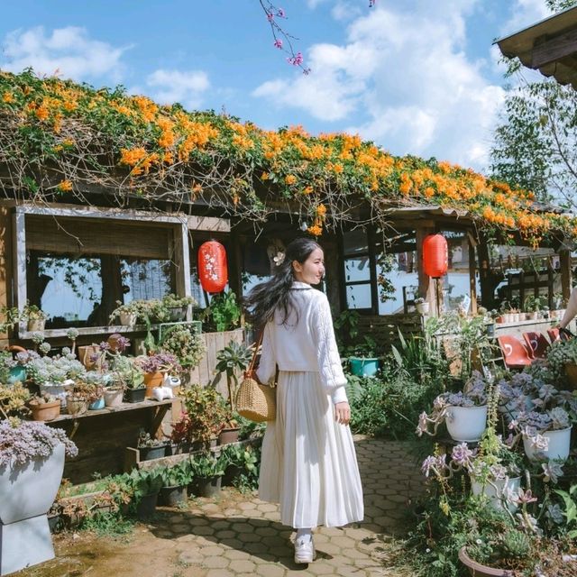 โปโป&ปิงปิง ขุนวาง 