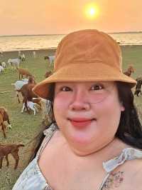 นิวซีแลนด์ เมืองไทย 