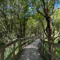 Breathtaking beauty of Irish nature 