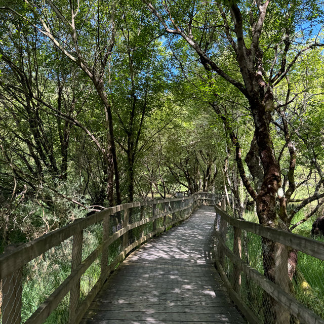 Breathtaking beauty of Irish nature 