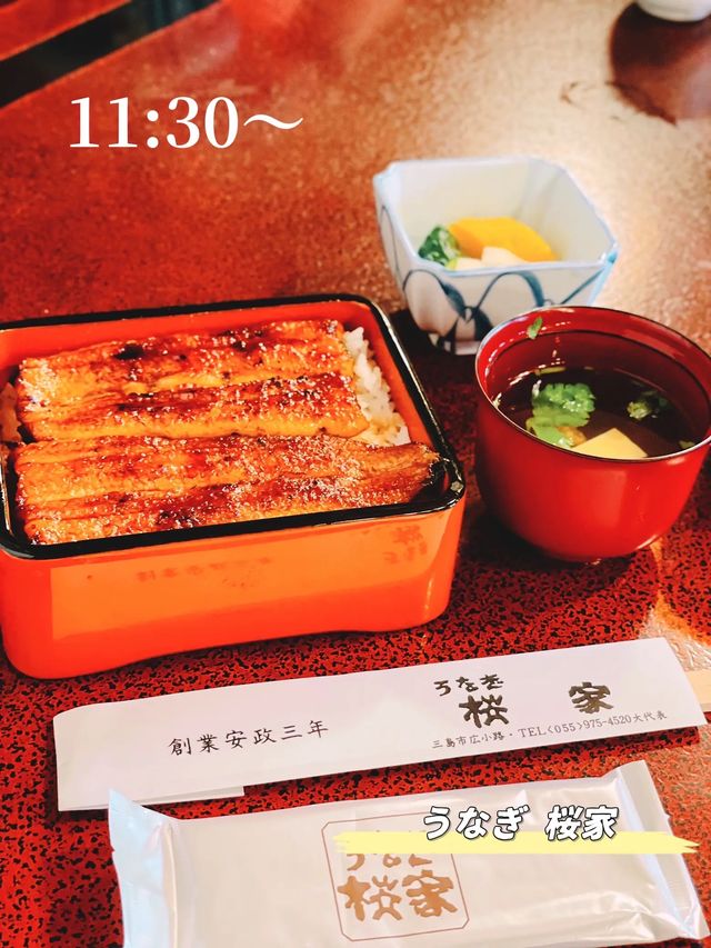 【週末旅行】美食に買い物に温泉も♨️三島熱海旅行！都内発1泊2日旅プラン🚗