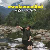 🍃 มาซูดโอโซนที่ พรหมโลกแคมป์ไซต์คาเฟ่