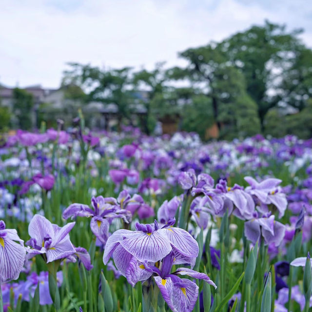 掛川花鳥園♥️鳥鳴蝴舞