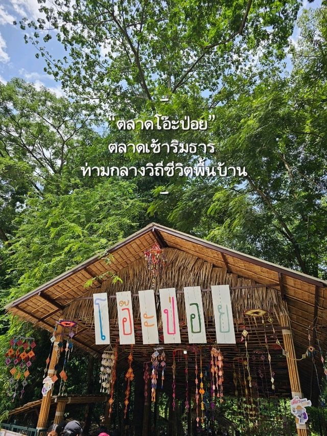ตลาดโอ๊ะป่อย สวนผึ้ง: หนึ่งวันสบาย ๆ ราชบุรี