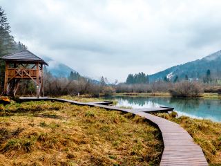 Zelenci Wetland Park... Slovenia