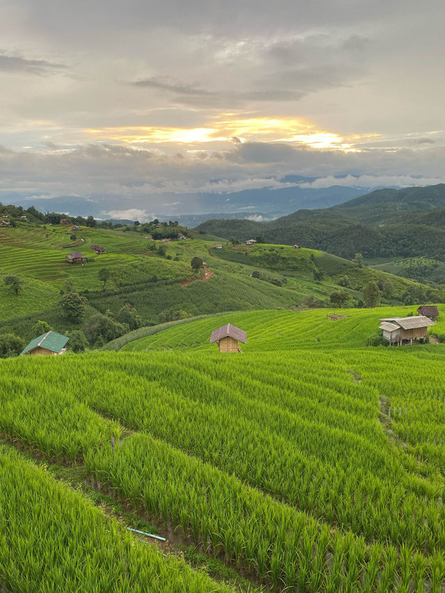 ที่พักป่าบงเปียง | เชียงใหม่ 🏡⛰️🌧️🌾