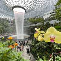 Tropical Oasis at Changi