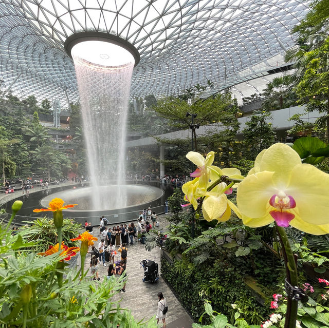 Tropical Oasis at Changi