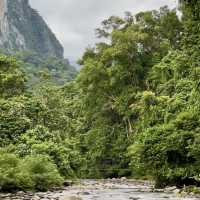 Into the Heart of Borneo: Conquering the RM100 Challenge
