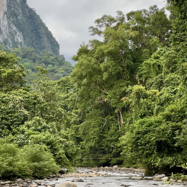 Into the Heart of Borneo: Conquering the RM100 Challenge