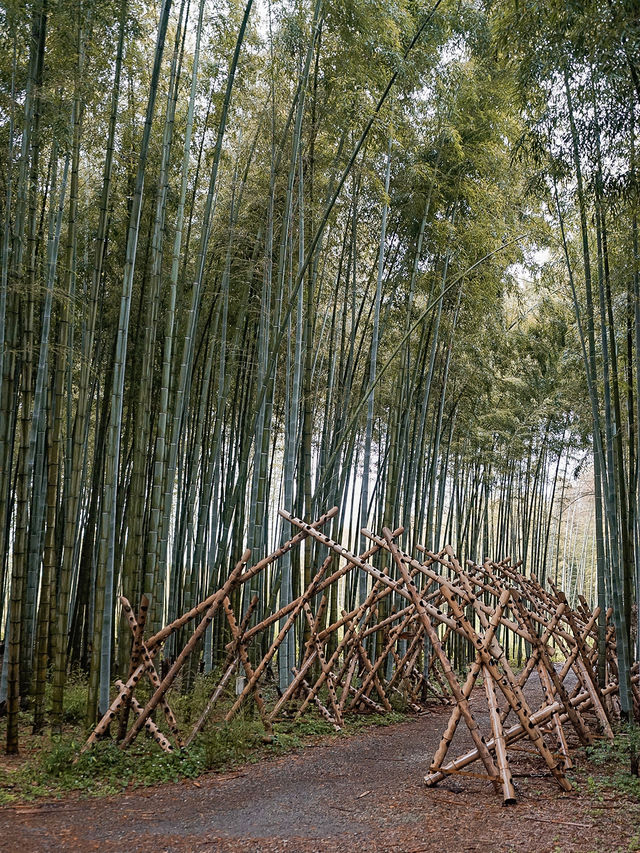 📍若竹の杜 若山農場