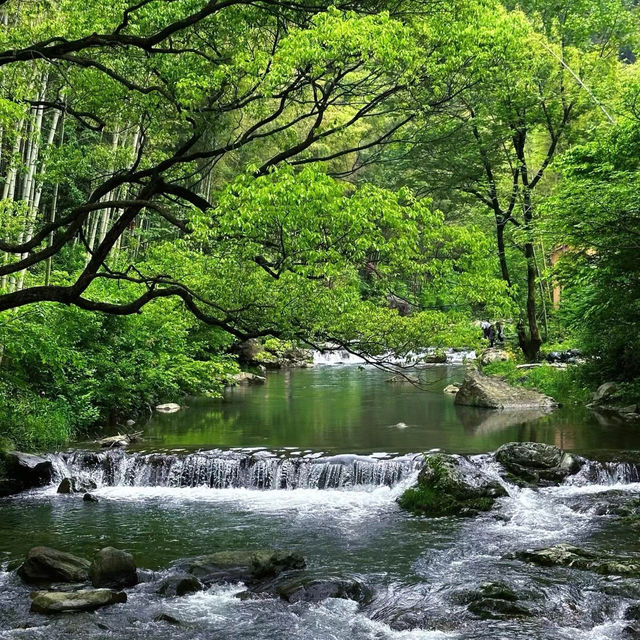 「天野川之滝」：隱秘寶地，快樂時光