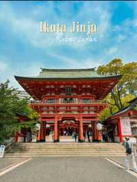 Beautiful Ikuta Jinja Shrine in Kobe, Japan ⛩️🇯🇵