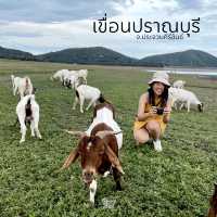 เขื่อนปราณบุรี บรรยากาศดี มีฝูงแพะ ...